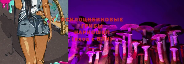 спиды Тайга
