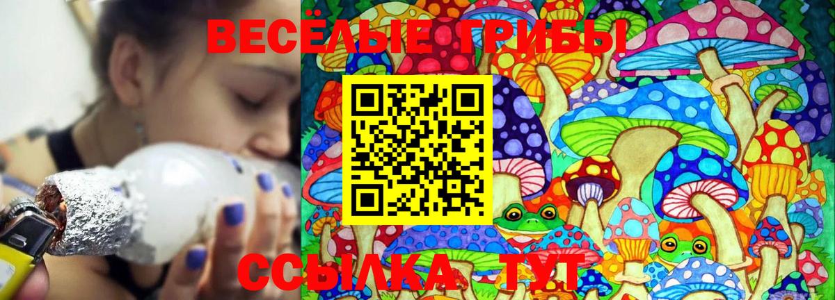 Галлюциногенные грибы Cubensis  Вход с VPN  Новый Уренгой 